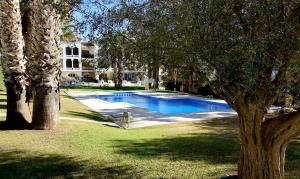 una piscina en un patio con un árbol en Atico GOLFSTAR, en Villacosta
