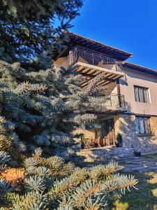 a large building with a pine tree in front of it at Еко Комплекс Албиция in Gospodinovo