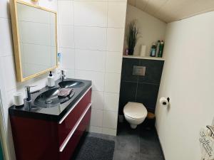a bathroom with a sink and a toilet at L'inspiration in Stavelot