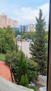 Vistas a una calle con un árbol de Navidad en Dkd-bridge Hotel, en Tiflis