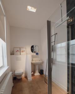 La salle de bains est pourvue de toilettes et d'un lavabo. dans l'établissement Blauwe Huis B&B, à Nieuport
