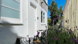 un gato sentado al lado de una casa blanca con flores púrpuras en Little Home on Glanmire, en Wellington