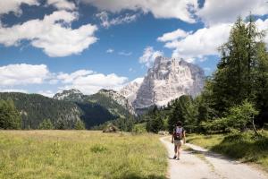 a person walking down a path in the mountains at Naturae Lodge in Alleghe