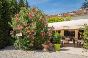 Zahrada ubytování Logis Le Printemps Hôtel Restaurant - Montélimar