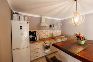 Kuchyň nebo kuchyňský kout v ubytování Cabana Dor De Munte