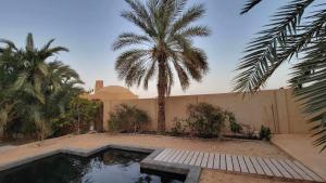 a house with a swimming pool and two palm trees at WAFLA in Siwa