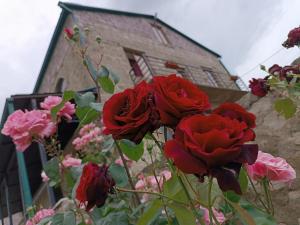 a group of red roses in front of a building at Bears and Berries in Berd