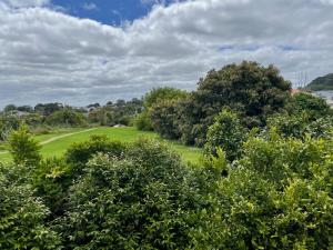 uma vista para um campo de golfe através das árvores em Rooms in Epsom House em Auckland