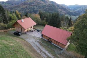 eine Luftansicht eines Hauses mit rotem Dach in der Unterkunft Steindl Hütte in Deutschfeistritz