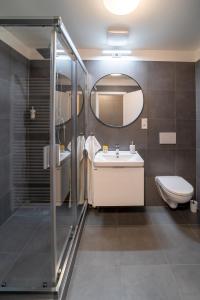 een badkamer met een wastafel, een toilet en een spiegel bij Apartmán Chrudimpark in Chrudim