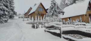 a house covered in snow in front of a cabin at Lodge Sisters in Sekulić 
