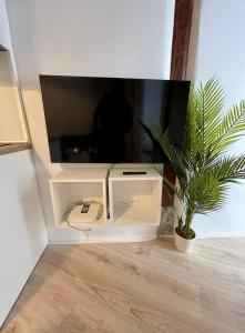 a tv sitting on a stand next to a plant at Centrico Apt 7pax en Anton Martin-Centro in Madrid