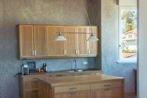 Η κουζίνα ή μικρή κουζίνα στο Pensión Antiguo Chalet de Zabala