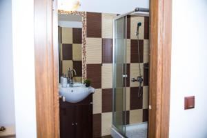a bathroom with a sink and a shower at Studio Sonia - Tordosan Central - #2 in Sibiu +4 photos