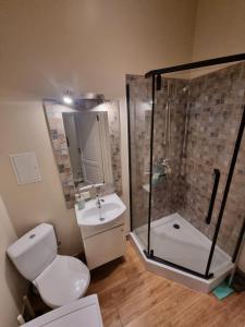 a bathroom with a shower and a toilet and a sink at Igo apartment Uzupis in Vilnius