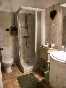 een badkamer met een douche, een toilet en een wastafel bij "MAS TRAMONTANE "chambres d'hôtes et studio avec piscine dans parc arboré in Ille-sur-Têt