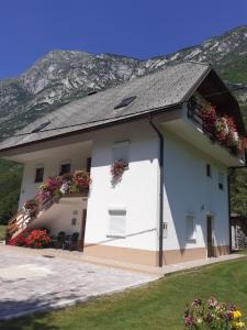 Nespecifikovaný výhled na hory nebo výhled na hory při pohledu z apartmánu