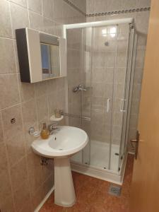 a bathroom with a sink and a shower at Apartma pod Rožem in Soča