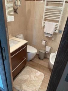 W łazience znajduje się umywalka, toaleta i umywalka. w obiekcie PISO DE LUJO EN TORRENOSTRA w mieście Torreblanca