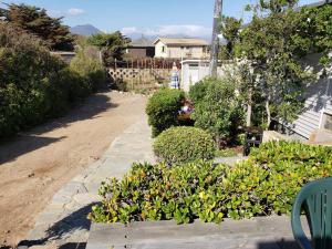 un jardín con plantas y un camino de piedra en Linda, cómoda y acogedora casa para 6, en Pichidangui