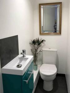 ein Badezimmer mit einem WC, einem Waschbecken und einem Spiegel in der Unterkunft Morvan La Pastourelle in Quarré-les-Tombes