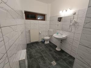 un bagno bianco con lavandino e WC di Mozart Studios a Cluj-Napoca