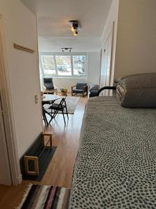 een kamer met 2 bedden en een woonkamer bij Apartamento Astun in Astun 