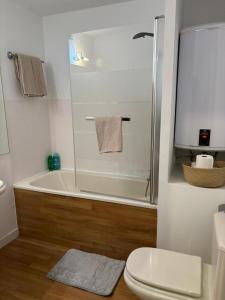 a bathroom with a shower and a toilet and a sink at Apartamento Astun in Astún