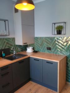 a kitchen with a sink and a counter at Apartament EM in Krosno
