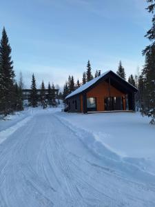 una casa nella neve con una strada davanti di Villa Luokka, Iso-Syöte a Syöte