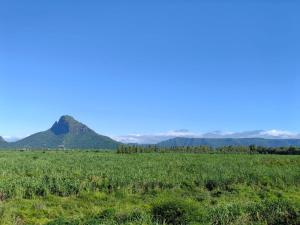 Paesaggio naturale nelle vicinanze dell'affittacamere