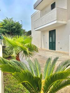 um edifício com palmeiras em frente em Villetta Bianca em Torre dell'Orso