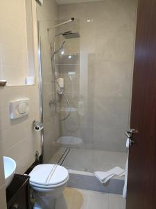 a bathroom with a shower with a toilet and a sink at Hotel Maxim in Arad