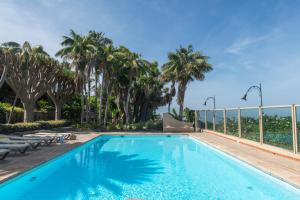 a swimming pool with palm trees in the background at Finca San Diego with Pool & Wifi in La Matanza de Acentejo