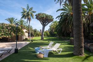 a lawn with two lounge chairs and palm trees at Finca San Diego with Pool & Wifi in La Matanza de Acentejo