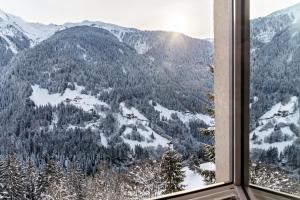 Paesaggio naturale nelle vicinanze dell'appartamento