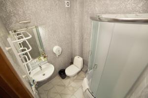 a small bathroom with a toilet and a sink at Coin Hotel in Lviv