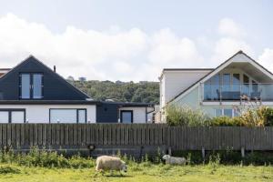dos ovejas pastando en un patio frente a una casa en Stylish beachside house with superb coastal views, en Westward Ho