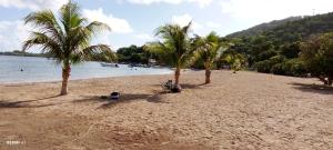 a beach with palm trees and a bike on it at Logement d'affaires et de séjours de groupes du Robert in Le Robert