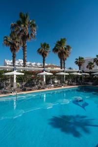 une grande piscine avec des palmiers en arrière-plan dans l'établissement THB Gran Playa - Adults Only, à Can Picafort