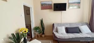 ein Wohnzimmer mit einem Sofa und einem TV in der Unterkunft Karancs Apartman Salgótarján in Salgótarján