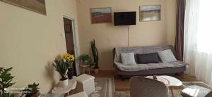 Telewizja i/lub zestaw kina domowego w obiekcie Karancs Apartman Salgótarján
