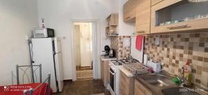 mała kuchnia z lodówką i zlewem w obiekcie Karancs Apartman Salgótarján w mieście Salgótarján