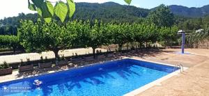 a swimming pool in front of a row of trees at Ca La Silvia Masboquera in Mas Boquera