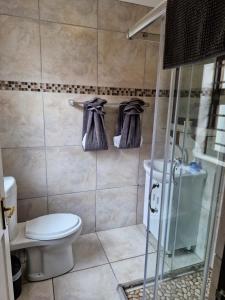 a bathroom with a toilet and a shower with towels at A Time And A Place in Plettenberg Bay