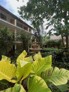 un jardín con grandes plantas verdes frente a un edificio en Amor Double Room with Swimming Pool en Boracay