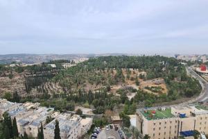 an aerial view of a city with buildings and trees at וגאס in Bayit Wegan