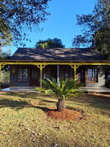 a house with a palm tree in front of it at Eagle Creek Resorts Sabie in Sabie