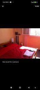 Un dormitorio con una cama con sábanas rojas y una ventana en Calme et écologie aux portes de Paris en Ivry-sur-Seine