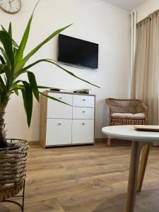 uma sala de estar com uma planta e uma televisão na parede em Apartament Rubinowy em Toruń